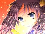  blue_eyes hair_cubes hair_ornament hiiragi_kagami lucky_star nichijou purple_hair sachiko solo twintails 