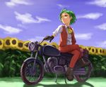  bad_id bad_pixiv_id boots cloud crossed_legs day flower gloves green_hair ground_vehicle kazami_yuuka kurione_(zassou) motor_vehicle motorcycle pants plant red_eyes short_hair sitting sky solo sunflower touhou wind 