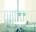 cat closed_eyes cup curtains indoors lying md5_mismatch nakamura_hinata no_humans on_side original pillow plant potted_plant room scenery sleeping solo table 