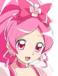  bow choker cure_blossom hanasaki_tsubomi heartcatch_precure! magical_girl owarine_miku pink pink_bow pink_choker pink_eyes pink_hair precure solo 