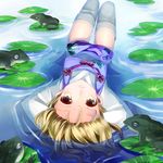 arms_behind_head blonde_hair forehead frog lily_pad moriya_suwako no_hat no_headwear partially_submerged ringpearl solo thighhighs touhou upside-down water wet wet_clothes yellow_eyes zettai_ryouiki 
