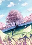  1girl amano_tooko bungaku_shoujo cherry_blossoms cloud day field highres inoue_konoha lying paper scenery sitting tree under_tree yakkun 