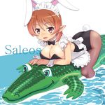  animal_ears apron bow bowtie breasts brown_hair bunny_ears bunny_tail bunnysuit character_name cleavage crocodile crocodilian detached_collar fang inflatable_toy large_breasts maid_headdress meow_(nekodenki) original pantyhose pointy_ears red_eyes riding short_hair solo tail water wet wet_clothes wrist_cuffs 