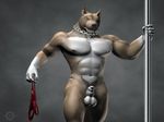  balls canine dog h8sart knot knot_in_sheath looking_at_viewer male mammal necklace nude penis penis_tip piercing pitbull pole sheath solo tattoo underwear undressing 