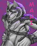  canine looking_at_viewer male mammal rrowdybeast silver_fenrir solo were werewolf wolf 