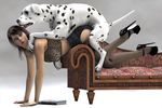  all_fours bestiality canine dalmatian derp dog doggystyle female feral from_behind human human_on_feral interspecies male mammal sex straight tail unknown_artist 