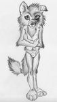  bandage black_and_white canine crossdressing greyscale male mammal monochrome panties solo spera tail underwear wolf 