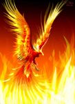  avian bird claws fire phoenix solo warm_colors whiteraven90 