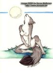  anthro breasts canine eyes_closed female fingering howl kacey mammal masturbation moon nipples nude sitting solo wolf 