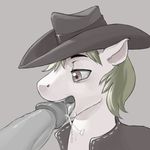  cowboy_hat cum equine eyebrows fellatio feral friendship_is_magic gay green_hair hair hat horse kevinsano male mammal my_little_pony open_mouth oral oral_sex penis pony sex tongue 