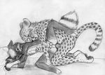  all_fours anal anal_penetration anthro balls bed canine cheetah cum cum_in_ass cum_inside duo feline fox from_behind gay greyscale knot male mammal monochrome nude pencils penetration penis sex sketch spera 
