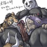  ball_nuzzling balls bear biceps bomb_(artist) bovine bull cattle erection feline foursome fur gangbang gay group group_sex licking lion male mammal muscles nude one_eye_closed oral orgy panda penis plain_background service sex tiger tongue white_background 