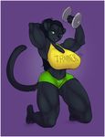  big_thighs black_hair breasts cindi_savaan cleavage clothed clothing feline female green_eyes hair huge_breasts kneeling lintu long_hair mammal midriff muscles muscular_female one_eye_closed panther ponytail shirt shorts smile solo tail tank_top thick_thighs weights wink workout 