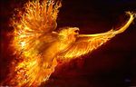  bird fire flying phoenix solo tail tom_wood warm_colors wings 
