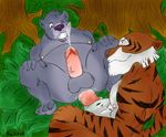  anthro anthrofied baloo bear chubby cum disney duo feline gay jungle_book male mammal penis sex shere_kahn shere_khan tiger unknown_artist 