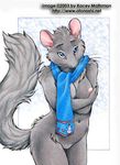 anthro blue_eyes breasts dormouse female fur gray_fur grey_fur kacey mammal nipples nude pussy rodent scarf shy solo whiskers 