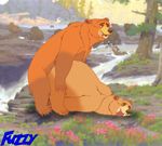  anal bear brother_bear chubby disney doggy_position doggystyle feral feral_on_feral from_behind fuzzybaloo gay kenai male mammal overweight penetration sex 