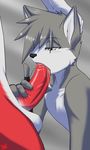  balls big_penis black_nose canine duo erection fellatio fingerless_gloves fox gay gloves green_eyes grey_hair hair male mammal oral oral_sex penis redwolfxlll saliva sex simple_background 