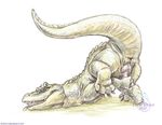  after_sex anus ass_up crocodile cum cum_in_ass cum_inside curiodraco feral genital_slit knot lying male masturbation on_front pencils penis raised_tail reptile scalie slit solo tail thick_tail 