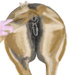  anatomically_correct_pussy animal_genitalia anus disembodied_hand equine equine_pussy female feral gdane hand horse mammal puffy_anus pussy solo tail 