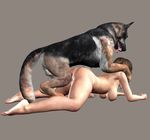  all_fours balls bestiality breasts butt canine dog doggystyle female feral from_behind german_shepherd human human_on_feral interspecies male mammal penetration penis sex straight 