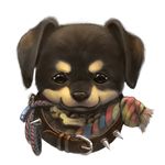  canine chew_toy collar cute dog male mammal rottweiler silverfox5213 solo 