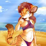  anthro beach black_nose breasts clothed clothing cloud clouds feline female looking_away mammal navel pinup pomegranate pose sand seaside skimpy solo standing star strawberryneko stripes sun swimsuit tail tiger water yellow_eyes 