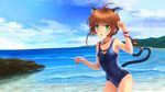  animal_ears beach brown_hair card_captor_sakura catgirl green_eyes kinomoto_sakura moonknives swimsuit tail 