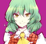  alternate_eye_color ascot closed_mouth face green_hair kazami_yuuka looking_at_viewer lowres plaid plaid_vest purple_background shinoasa simple_background smile solo touhou upper_body vest yellow_eyes 