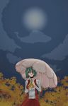  female green_hair highres kazami_yuuka sky solo touhou umbrella wink youkai 