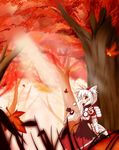  animal_ears bad_id bad_pixiv_id detached_sleeves hat highres inubashiri_momiji red_eyes short_hair solo sword tail tokin_hat touhou ver.ke weapon white_hair wolf_ears wolf_tail 