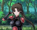  bad_id bad_pixiv_id breasts brown_eyes brown_hair forest highres inuyasha long_hair medium_breasts nature ponytail sango solo tamamon tree 