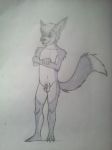  anthro balls canid canine claws crossed cub fox fur game_(disambiguation) hair looking_away male mammal marcus_mccloud multicolored_fur navel nude penis pubes size small_penis smile solo standing teenager traditional_media_(artwork) two_tone_fur young 