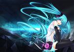  append hatsune miku tagme 