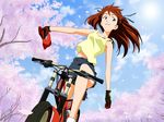  asuka_langley bicycle biking_gloves blue_eyes blue_hair_ribbons brown_hair cherry_blossoms hat? neon_genesis_evangelion shorts sky yellow_tank_top 