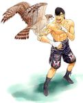  abs bird boots hajime_no_ippo hawk highres male_focus muscle shinobibe_himika shorts solo takamura_mamoru 