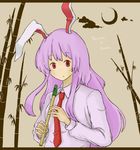  animal_ears bad_id bad_pixiv_id bamboo bamboo_forest bunny_ears face forest fujinoki_(horonabe-ken) instrument long_hair nature necktie purple_hair recorder red_eyes red_neckwear reisen_udongein_inaba solo touhou 