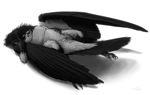  avian beak bird black_feathers cloaca crow feathers jackdaw jackrow male solo white_feathers wings 