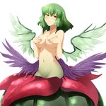  blush breasts covering covering_breasts flower green_hair groin highres kazami_yuuka medium_breasts monster_girl monsterification navel nude plant_girl red_eyes reon_(saikyou) short_hair solo touhou wings 