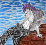  anthro antropomorfic blue_eyes canine dog fluffy_tail fur grey grey_fur hair invalid_tag k9 lester lesterhusky long_hair looking_at_the_viewer looking_at_viewer malaika4 male mammal purple purple_hair solo tail watermark 