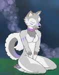  blue canine collar eyes_closed female fur grey grey_fur hindpaw kneeling mammal markings nude open_mouth pakabowl paws solo tail tongue wolf 
