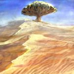  desert highres no_humans original read_xxx sand scenery sky tree 