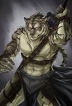  animal_ears anthro aotsuki091 armor bara biceps blue_eyes feline furry hunk male mammal manful manly muscle muscles pecs serious sky_(artist) solo strong sword tail tiger virility warrior warrior_pose weapon 