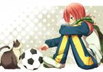  asahikawa_hiyori ball blue_eyes breath cat inazuma_eleven_(series) inazuma_eleven_go kirino_ranmaru long_hair male_focus scarf sitting soccer_ball solo telstar track_suit twintails 