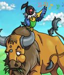  avian bird bovine braindeadmareep bull cattle chatot cloud clouds duo eating feathers feral grass mammal musical_note nintendo parrot pok&#233;mon pok&eacute;mon size_difference tauros unimpressed video_games 