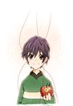  apple blue_hair food fruit green_eyes holding holding_food holding_fruit male_focus mawaru_penguindrum smile solo spoilers takakura_shouma younger 