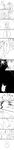  absurdres caster_(fate/zero) comic enigma49aq fate/zero fate_(series) greyscale highres kayneth_el-melloi_archibald lancer_(fate/zero) long_image monochrome multiple_boys parody slapping style_parody tall_image translation_request uryuu_ryuunosuke 