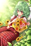  bouquet flower green_hair kazami_yuuka mokku red_eyes short_hair smile solo touhou 