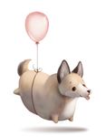  ambiguous_gender balloon canine corgi cute dog feral floating mammal overweight silverfox5213 solo tongue 