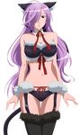  absurdres animal_ears asu_no_yoichi bell black_panties blush bra breasts cat_ears fur garter_belt hair_over_one_eye highres jingle_bell large_breasts lingerie long_hair non-web_source panties purple_hair ribbon solo standing tail takatsukasa_angela thighhighs underwear vector_trace very_long_hair 